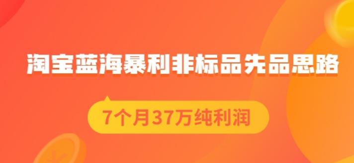 盗坤淘宝蓝海暴利非标品先品思路，7个月37万纯利润，压箱干货分享！【付费文章】-宝贝POS网
