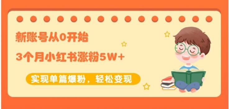 新账号从0开始3个月小红书涨粉5W 实现单篇爆粉，轻松变现（干货）-宝贝POS网