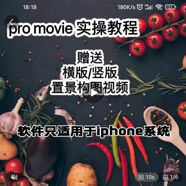 漆十二美食摄影，25​节promovie实操高手课节-宝贝POS网