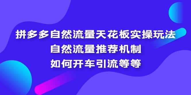 拼多多自然流量天花板实操玩法：自然流量推荐机制，如何开车引流等等-宝贝POS网