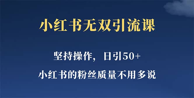 小红书无双课一天引50 女粉，不用做视频发视频，小白也很容易上手拿到结果-宝贝POS网
