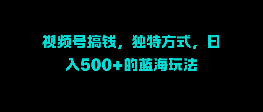 视频号搞钱，独特方式，日入500+的蓝海玩法-宝贝POS网