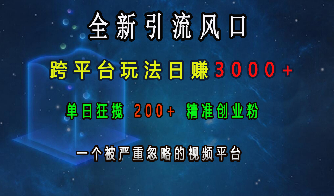 全新引流风口，跨平台玩法日赚3000+，单日狂揽200+精准创业粉，一个被严重忽略的视频平台-宝贝POS网