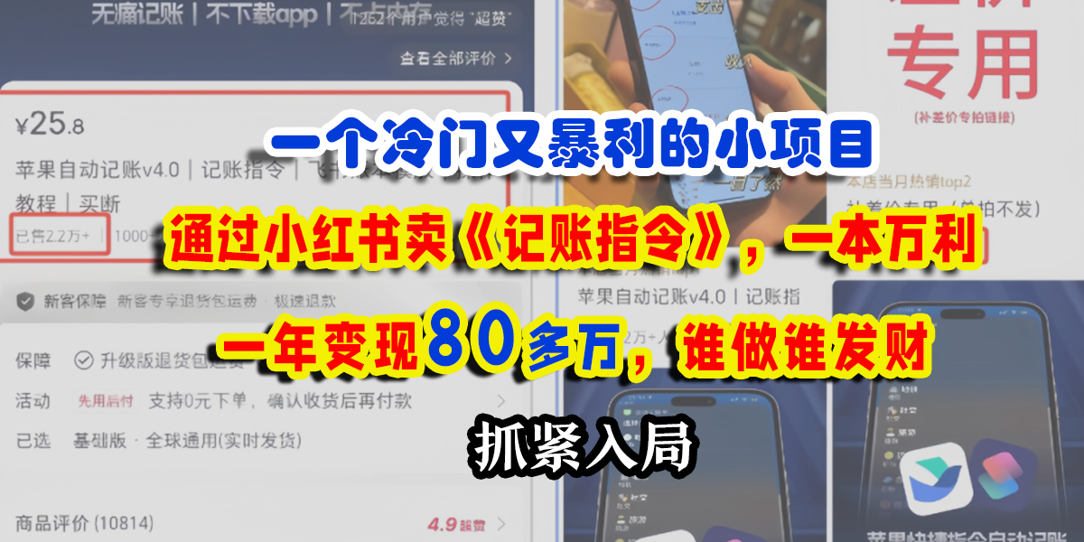 一个冷门又暴利的小项目，通过小红书卖《记账指令》，一本万利，一年变现80多万，谁做谁发财-宝贝POS网